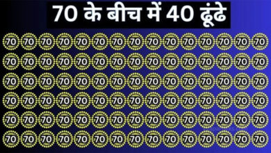 Optical Illusion : हिम्मत है तो 7 सेकंड में तस्‍वीर में छिपे 40 अंक को खोजकर दिखाइए, करें चैलेंज पूरा...