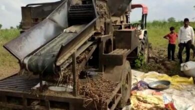 Betul News : थ्रेसर की चपेट में आने से युवक की दर्दनाक मौत, शोभापुर गांव की घटना