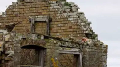 Optical Illusion : क्‍या आप खोज सकते है खंडहर में छिपा उल्‍लू, सिर्फ 1% लोग ही पूरा कर पाए हैं यह चैलेंज…