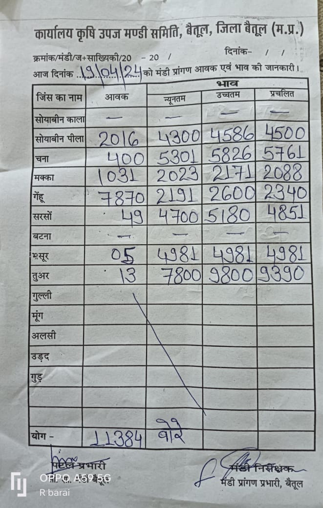 Today Betul Mandi Bhav : आज के कृषि उपज मंडी बैतूल के भाव (दिनांक 19 अप्रैल, 2024)
