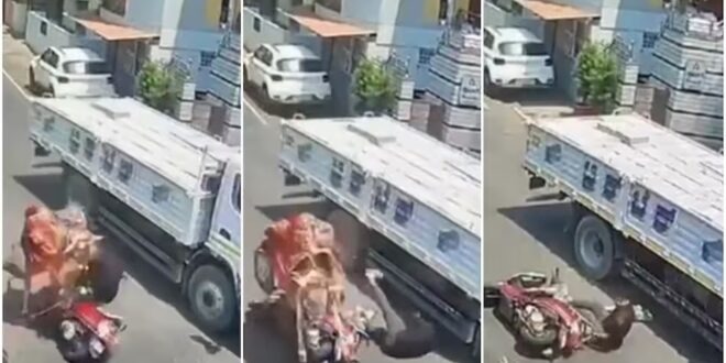Viral Video: इसे कहते हैं मौत के मुंह से निकलना, वीडियो देखकर दहल जाएंगे आप...