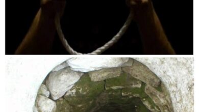 Betul Latest News : लापता ग्रामीण का कुएं में मिला शव, फांसी के फंदे से लटका मिला युवक