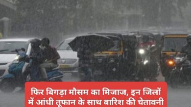MP Weather Alert : आंधी-तूफान के साथ इन जिलों में होगी बारिश, ओले भी बरसेंगे, मौसम विभाग की चेतावनी