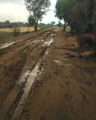 Latest Betul News : मुरम की जगह सड़क पर डाली मिट्टी, बारिश से इस पर चलना हुआ मुहाल