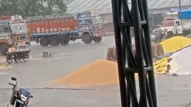 MP Weather Alert : इन जिलों में होगी आंधी-तूफान के साथ बारिश, मंडी में बरसी आफत, देखें वीडियो...