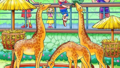 Optical Illusion : चैलेंज करें पूरा, 7 सेकंड में ढूंढें चिड़ियाघर में छिपा हुआ बंदर...