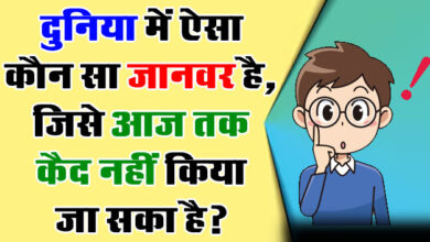 Gk Questions In Hindi : दुनिया में ऐसा कौन सा जानवर है, जिसे आज तक कैद नहीं किया जा सका है?