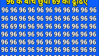 Optical Illusion : एक नहीं दस बार देखिए, दम है तो 96 के बीच 69 ढूंढकर दिखाइए...
