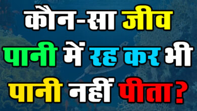 Gk Questions In Hindi : कौन-सा जीव पानी में रह कर भी पानी नहीं पीता?