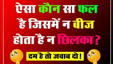 GK Question : ऐसा कौन सा फल है जिसमें न बीज होता है न छिलका?