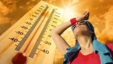 MP Weather Update : अभी गर्मी कर रही हलाकान, 21 से फिर बदलेगा मौसम, बारिश के आसार