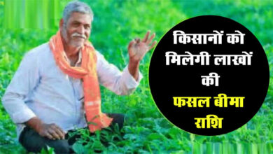 Betul News : किसानों को मिलेगी लाखों की फसल बीमा राशि, उपभोक्ता आयोग ने दिए आदेश