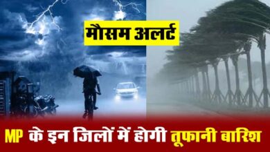 MP Weather: मध्य प्रदेश के इन जिलों में होगी तूफानी बारिश, IMD का Yellow अलर्ट जारी...