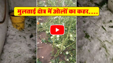 Betul Weather Update : अब मुलताई क्षेत्र में ओलों का कहर, जम गई मोटी परत; छप्पर उड़े, कई जानवरों की मौत