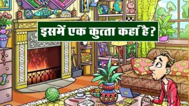 Optical Illusion : चतुर बुद्धि वाले लोग ही ढूंढ सकते है छिपा कुत्‍ता? सिर्फ 9 सेकंड में ढूंढने वाला होगा विजेता...