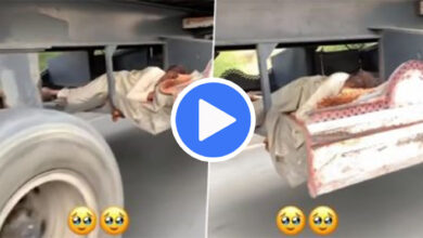 Truck Driver Ka Jugaad: चलते ट्रक में नींद पूरी करता दिखा शख्‍स, लोग बोले- बंदे ने तो कमाल कर दिया....