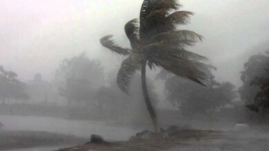 IMD Alert : आज रात से रौद्र रूप लेगा चक्रवाती तूफान, सरकार अलर्ट