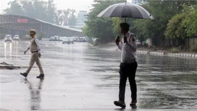 IMD Weather Alert : मौसम विभाग ने जारी की मौसम का अलर्ट, तेज हवाओं के साथ हो सकती हैं भारी ओलावृष्टि