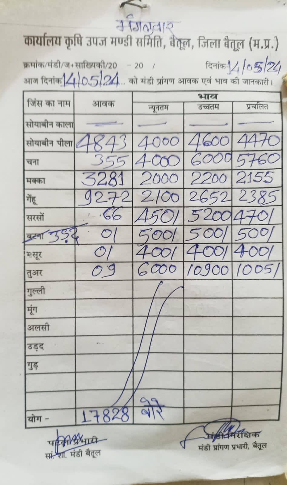 Today Betul Mandi Bhav : कृषि उपज मंडी बैतूल में आज 14 मई 2024 के भाव