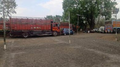 Betul Crime News : छह ट्रकों में ले जा रहे थे 900 बकरा-बकरी, पुलिस ने किए जब्त