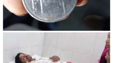 Ajab Gajab : करेले तोड़ रहा युवक गिरा, सांप के बिल में घुसा हाथ, ऐसा डंसा कि फंसा रह गया दांत