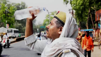 MP Weather Today : MP में भीषण गर्मी का कहर जारी, मौसम विभाग ने मध्य प्रदेश के 5 जिलों में किया लू का येलो अलर्ट जारी