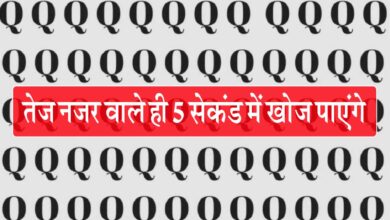 Optical Illusion IQ Test: Q की आड़ में से छिपा है O, क्या आप यह चैलेंज 5 सेकेंड पूरा कर सकते हैं?