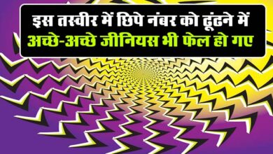 Optical Illusion: इस तस्वीर में छिपे नंबर को ढूंढने में अच्छे-अच्छे जीनियस भी फेल हो गए, क्या आप चैलेंज पूरा कर पाएंगे
