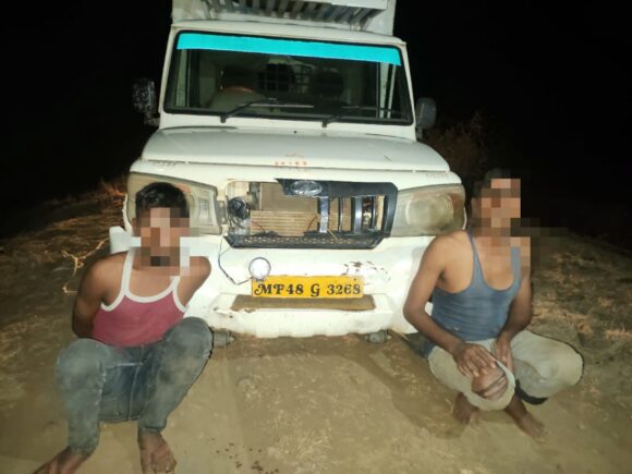 Betul Crime News: पुलिस को देख भागे आरोपी, पीछा कर पकड़ा, पिकअप से 9 गोवंश जब्त