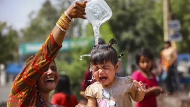 Highest Heatwave in Rajasthan : राजस्थान के बाड़मेर में सबसे उच्चतम तापमान किया गया रिकॉर्ड, पारा 48.6 डिग्री सेल्सियस के पार