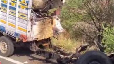 Chhindwara Road Accident : गोवंश से भरा हुआ ट्रैक पिकअप से टकराया, 12 गोवंश और 3 लोगों की मौत