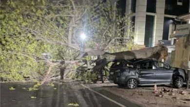 Delhi Weather Update : दिल्ली में तेज हवाओं के कारण ढह गया पार्क का 'पंडाल', दो लोगों की मौत