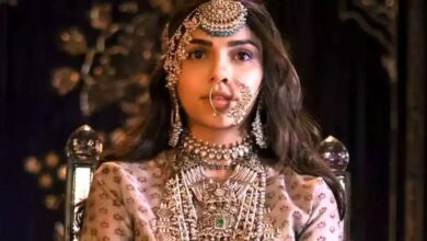 Sharmin Sehgal Troll : वेब सीरीज हीरामंडी में आलमजेब का किरदार निभाने वाली शर्मिन सहगल अपनी एक्टिंग के लिए हो रही ट्रोल