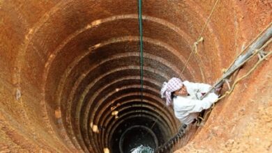 Betul Crime Update : मां-बेटे के कुएं में मिले शव, फैली सनसनी; महिला पोस्टमेन को मारा चाकू