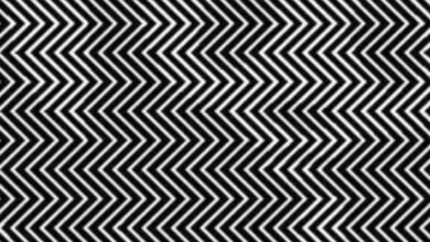 Optical Illusion: तस्‍वीर में छिपा है जानवर, अपने दिमाग की बत्ती जलाए और 10 सेकंड में खोजे