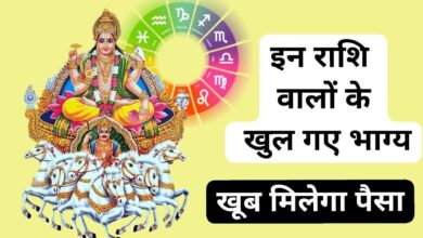 Sun Nakshatra Transit 2024: सूर्य ने खोल दिया इन राशि वालों का भाग्य, खूब मिलेगा पैसा, पद और प्रतिष्‍ठा
