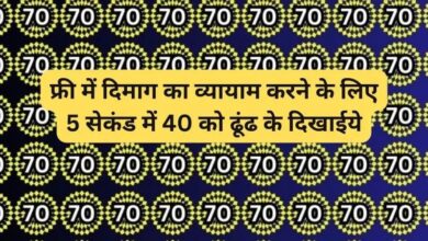 Optical Illusion IQ Test: तस्‍वीर में 70 के बीच में छिपा है 40, ढूंढ कर दिखाया तो कहलाओगे शहंशाह