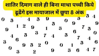 Optical Illusion IQ Test: तीव्र बुध्दि और शातिर दिमाग वाले ही तस्‍वीर में छिपा 8 नंबर 5 सेकंड में ढूंढ पाएंगे
