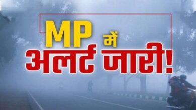 MP Weather Update Today : एमपी में भीषण गर्मी के बीच बारिश की चेतावनी, बैतूल समेत इन जिलों में IMD ने जारी किया अलर्ट