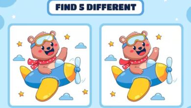 Optical Illusion IQ Test: क्या इन तस्वीरों में ढूंढ पाएंगे 5 अंतर, 10 सेकंड में ढूंढ निकाला तो कहलाएगा सुपर जीनियस