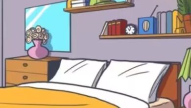 Optical Illusion IQ Test: बाज जैसी तेज नजर वाले ही तस्वीर में छिपे मुकुट को ढूंढ पाएंगे