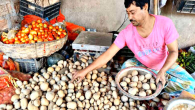 Potato Price Increase :प्याज के बाद अब रुलाएगा आलू