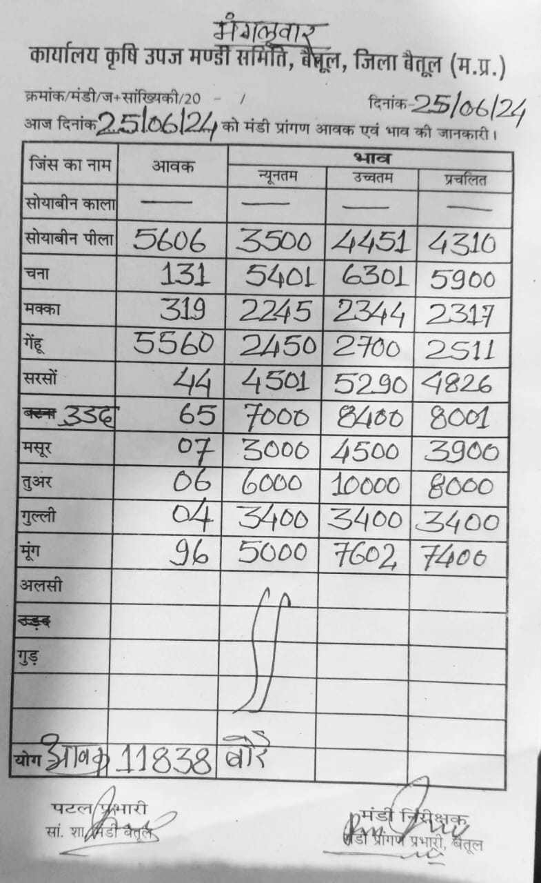 Today Betul Mandi Bhav : कृषि उपज मंडी बैतूल में आज 25 जून 2024 के भाव