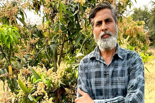 Aam ki kheti : आम के बागीचे से बन गए लखपति, लगाई हैं 26 वैरायटी