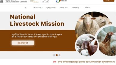 राष्ट्रीय पशुधन मिशन : पशुपालन के लिए सरकार देती है 50 लाख तक की सहायता, इस तरह ले सकते हैं लाभ
