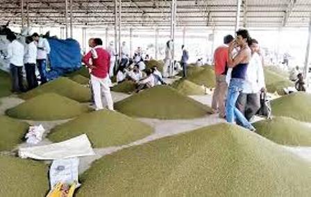 MSP Par Moong Kharidi : मूंग बेचने मात्र 3400 किसानों ने कराया पंजीयन