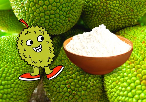 Kathal ka aata : शुगर का नामोनिशान मिटा देगा सब्जी से बना ये आटा, एक बार खाओगे तो बार-बार मंगवाओंगे