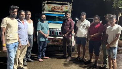 Govansh ki taskari : कत्लखाने ले जा रहे 12 गोवंश कराए मुक्त, नहीं थम रही तस्करी