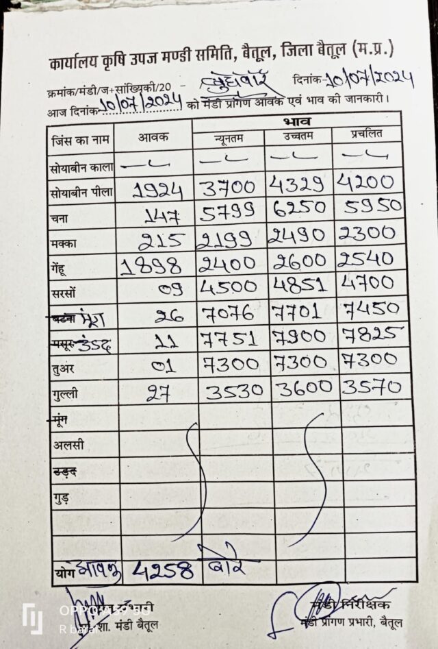 Today Betul Mandi Bhav : कृषि उपज मंडी बैतूल में आज 10 जुलाई 2024 के भाव