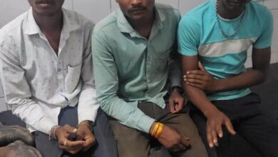 Shadi me bada hadsa : बारात के आते ही बड़ा हादसा; घोड़े की मौत, दूल्हे ने कूद कर बचाई जान, तीन घायल